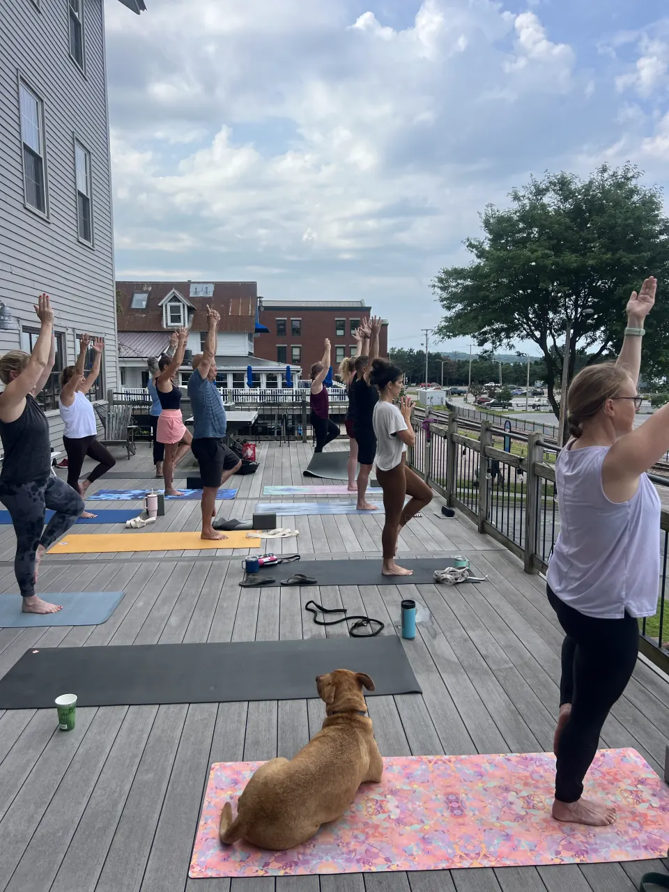 A class on a deck in Burlington, arms up, a dog sitting on a pink mat