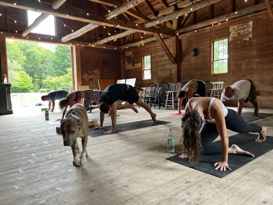 Hudson walking through a class in the barn