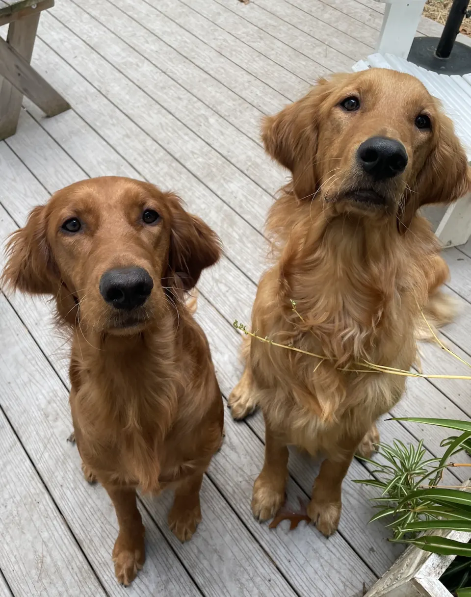 Gus & Posa