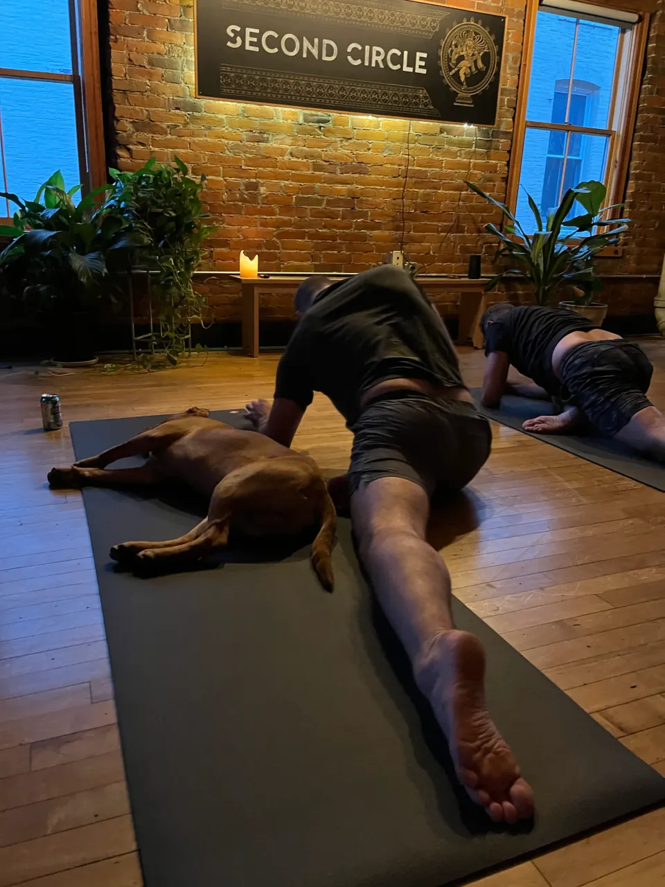 A dog stretched out beside a member in pigeon pose under the Second Circle sign