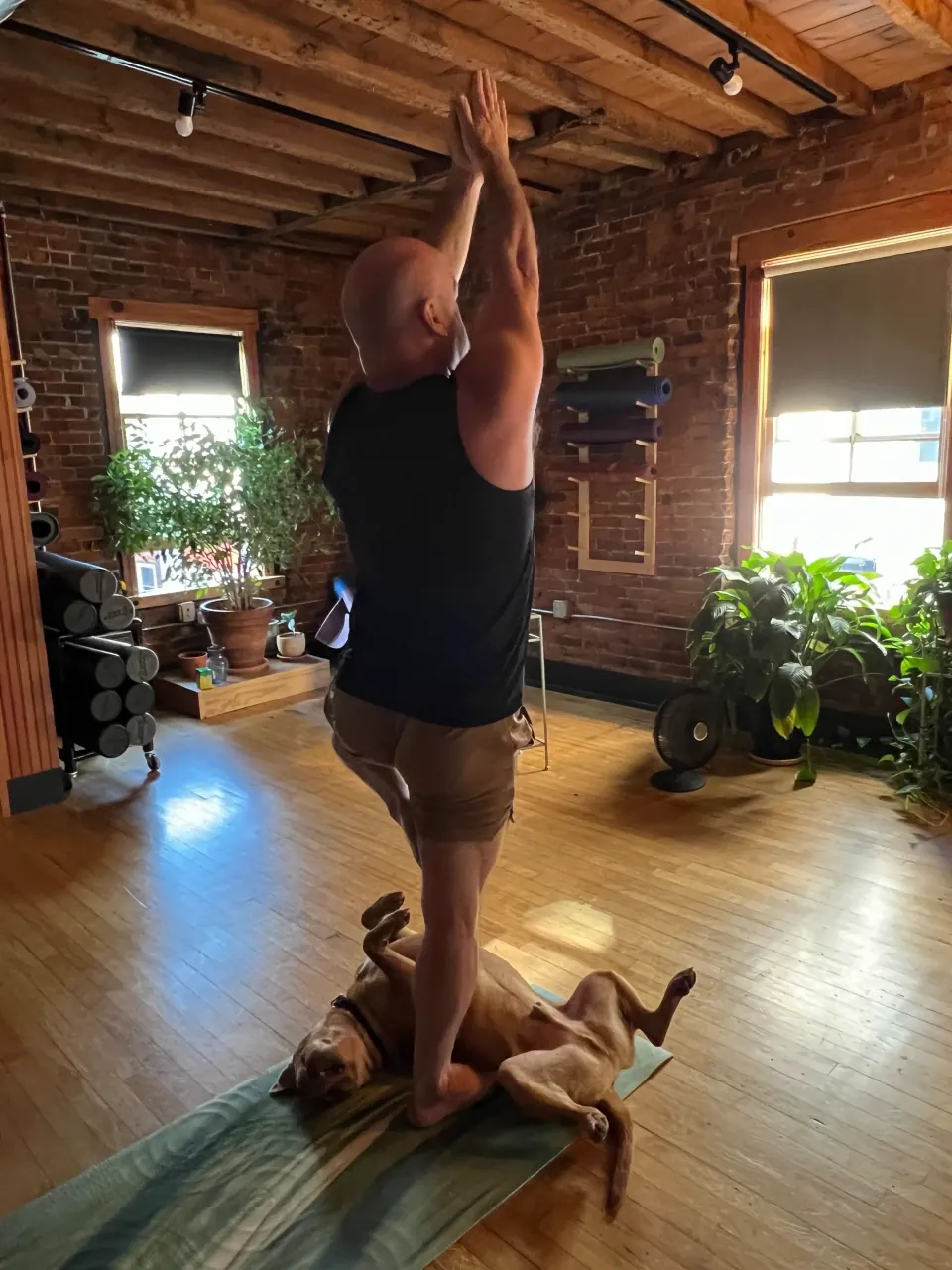 A member reaching up in class while a dog rolls on its back on his mat