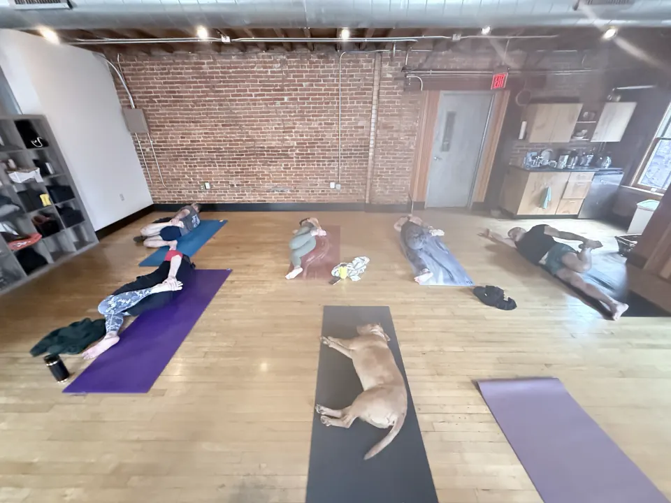 The studio from above, members resting on their mats and a dog resting on one too