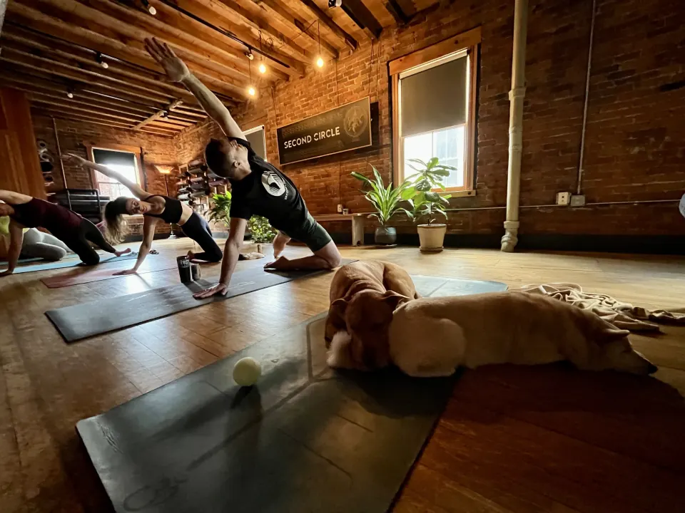 A class in side angle pose while a dog naps on a mat in front