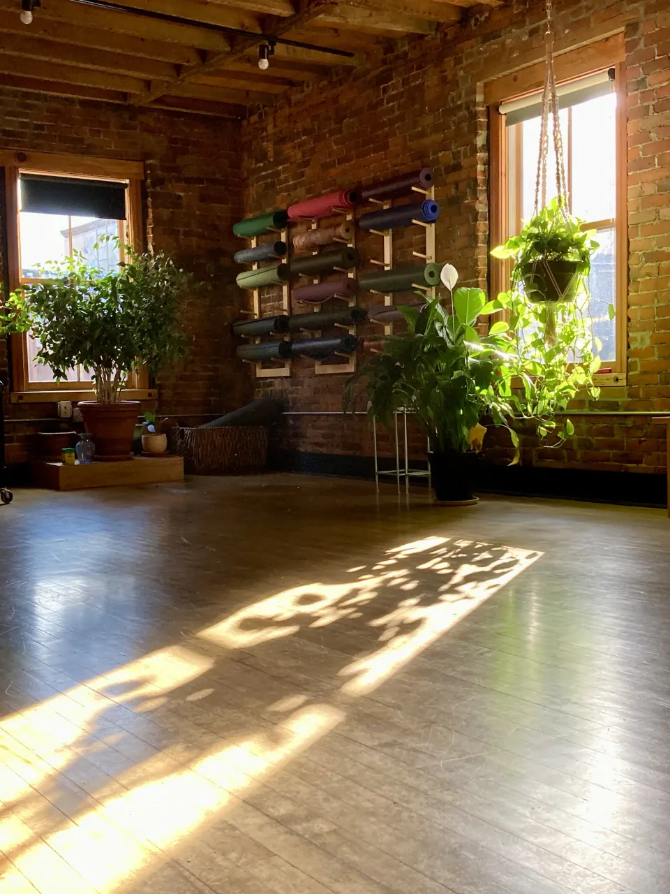 The studio on College Street in afternoon light